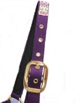 Halfter mit Tribal Overlay - Purple