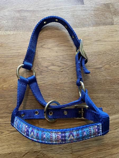 Lama Halfter Blau - Buntes Overlay