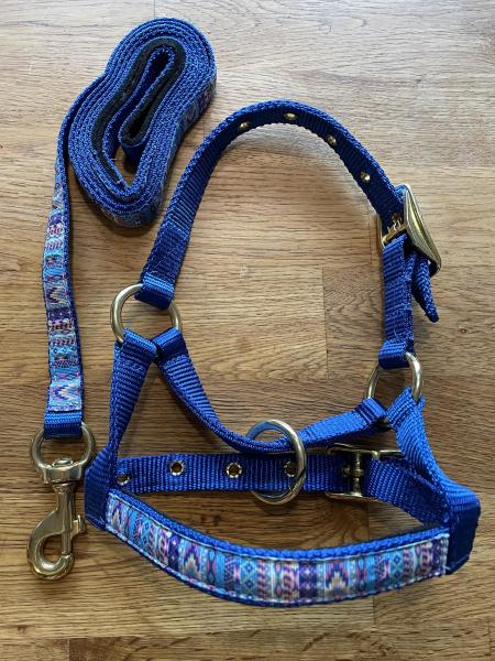Lama Halfter und Leine Set - Blau - Buntes Overlay