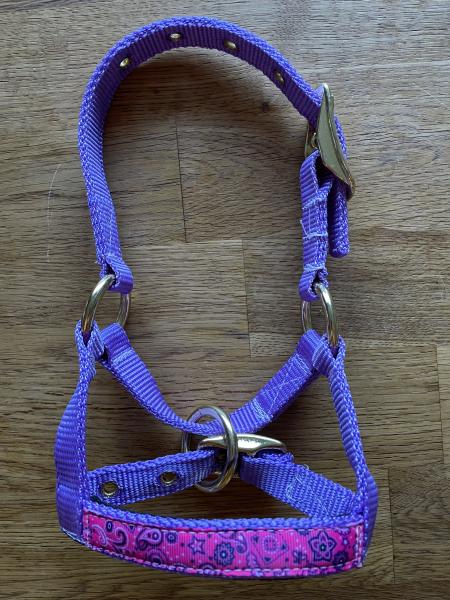 Alpaka Halfter Flieder mit Overlay Pink Bandana