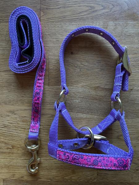 Alpaka Halfter Flieder mit Overlay Pink Bandana im Set