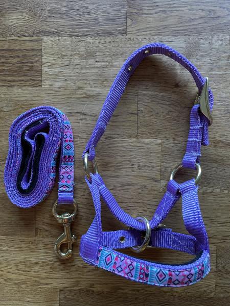 Alpaka Halfter flieder mit bunten Overlay und Leine Set